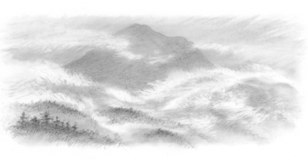 Mt. Tam in Fog Drawing