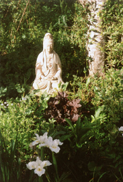 Image of Buddha statue in garden
